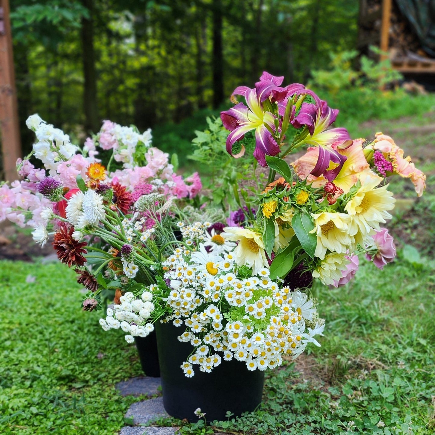 Enchanted Blooms Bucket